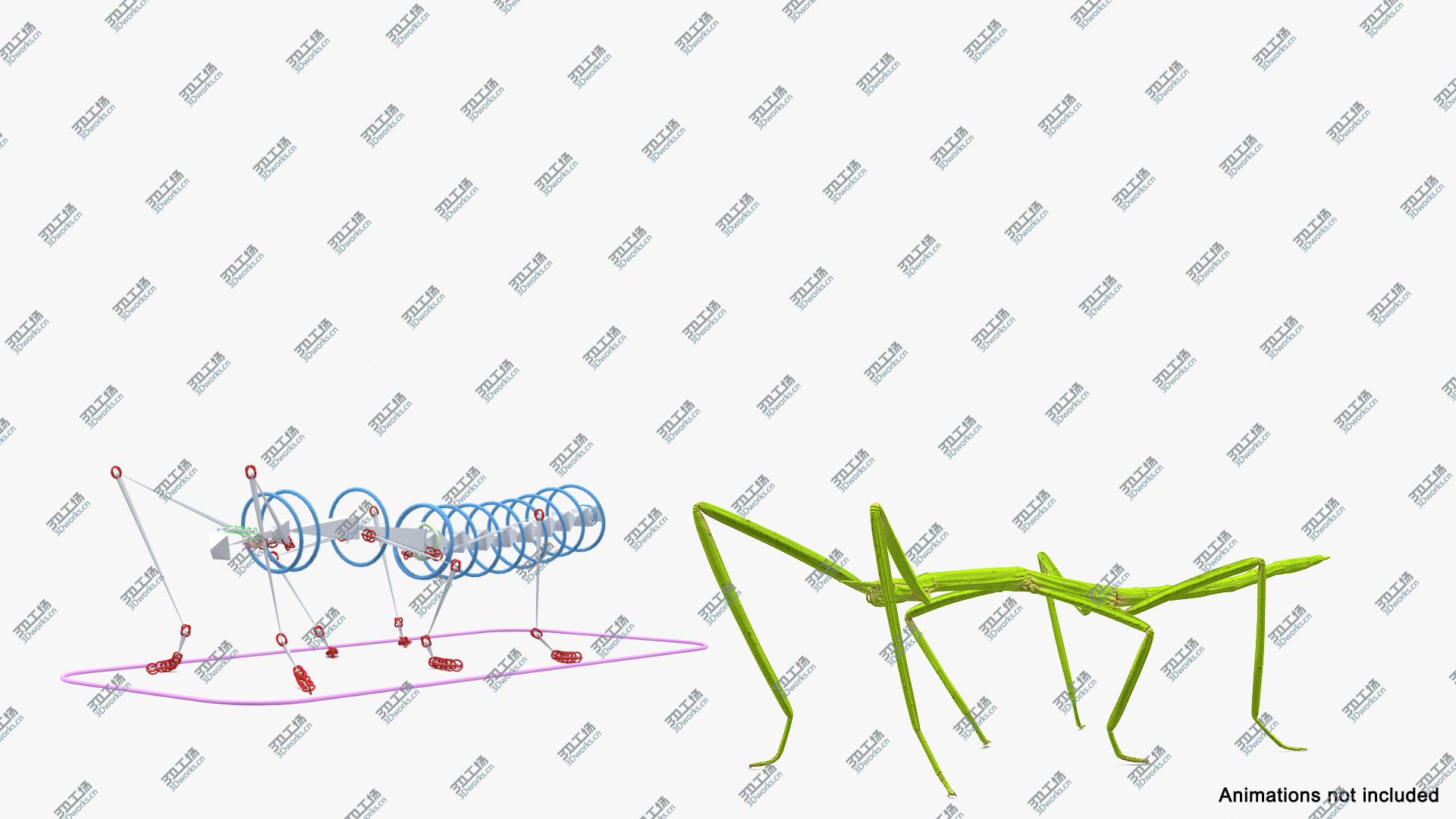 images/goods_img/202105071/Stick Insect Green Rigged 3D model/4.jpg